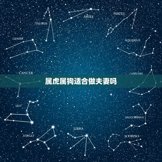 属虎属狗适合做夫妻吗(星座配对介绍)