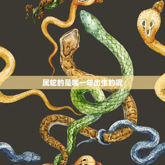 属蛇的是哪一年出生的呢(蛇年生肖解读)