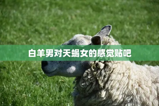 白羊男对天蝎女的感觉贴吧(如何看待这种组合)