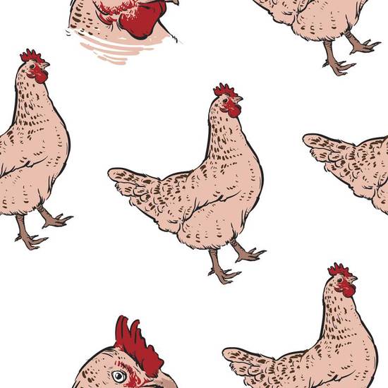 69年属鸡的婚外情今年(鸡年桃花旺婚姻危机频发)