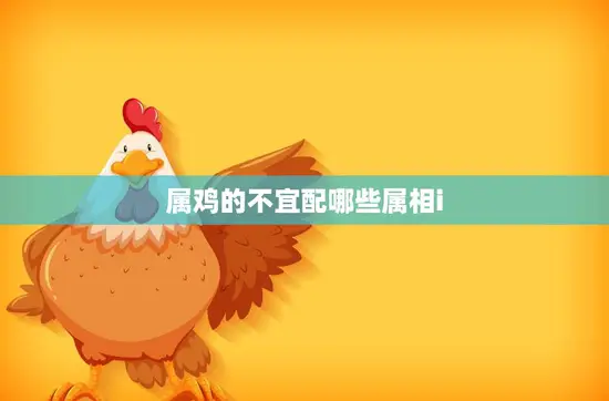属鸡的不宜配哪些属相i(解析属相相克的秘密)