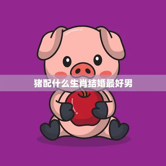 猪配什么生肖结婚最好男(最佳配对大揭秘)