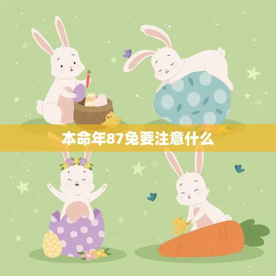 本命年87兔要注意什么(幸运与挑战如何度过本命年)