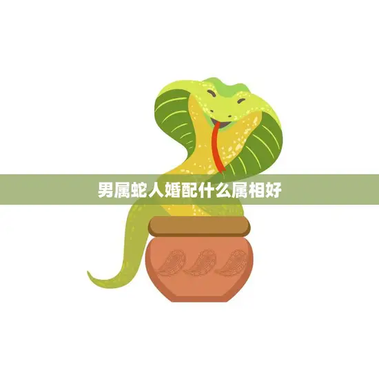 男属蛇人婚配什么属相好(如何选择最佳婚姻对象)
