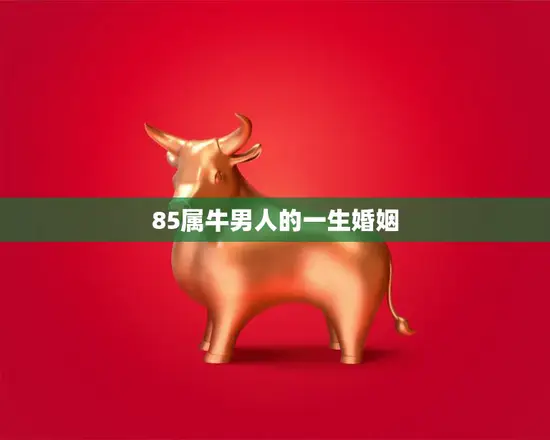 85属牛男人的一生婚姻(幸福婚姻的秘诀)