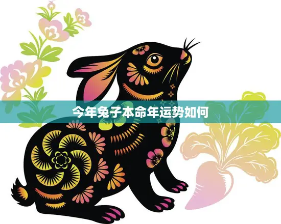 今年兔子本命年运势如何(兔子们的好运继续)
