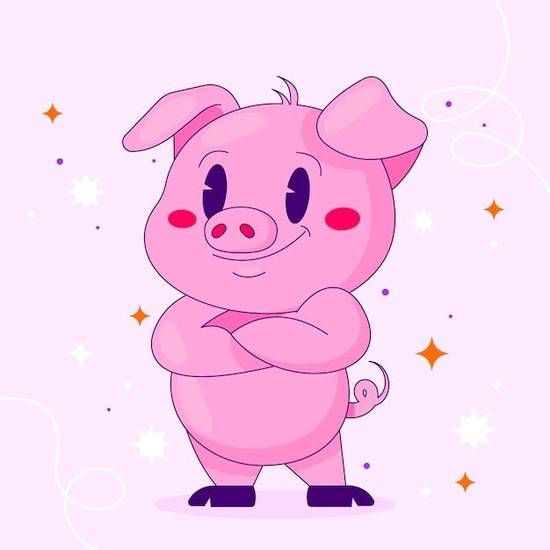 属猪2023运势及运程(猪年大展宏图财运亨通)