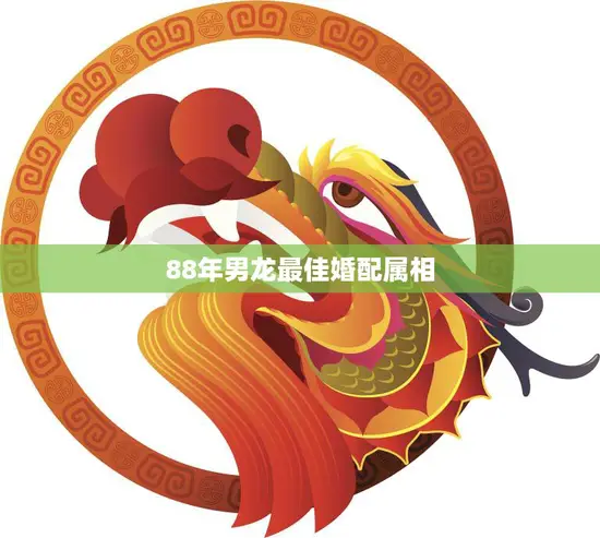 88年男龙最佳婚配属相(揭秘哪些属相最适合)