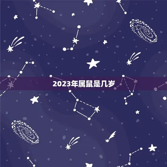 2023年属鼠是几岁(属鼠人的年龄计算方法)