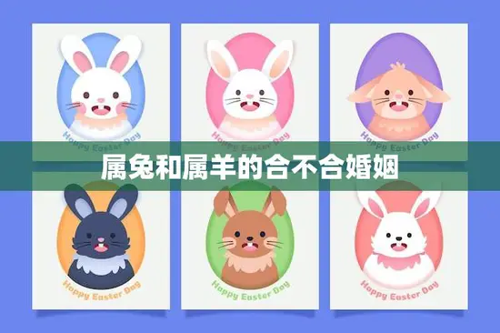 属兔和属羊的合不合婚姻(如何选择最佳婚姻对象)