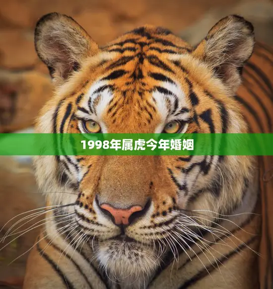 1998年属虎今年婚姻(如何避免婚姻危机)