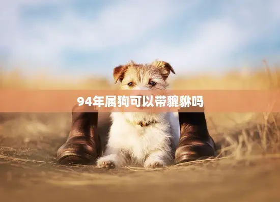 94年属狗可以带貔貅吗(解析属狗人带貔貅的禁忌)