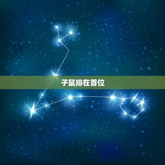 12生肖属相排列顺序(十二生肖排列有序)