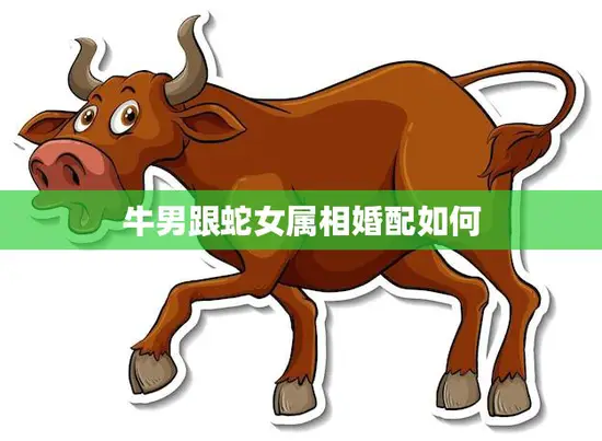 牛男跟蛇女属相婚配如何(解析缘分与性格的平衡)