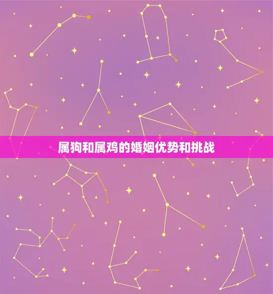 属狗属鸡的婚姻怎么样(幸福的方法)