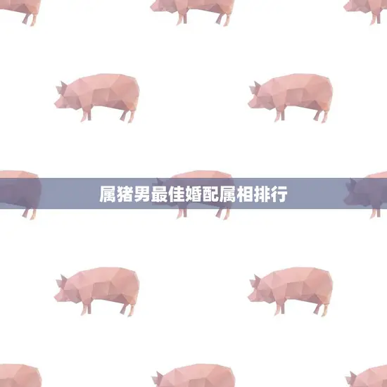 属猪男最佳婚配属相排行(十二生肖中最佳搭档是谁)