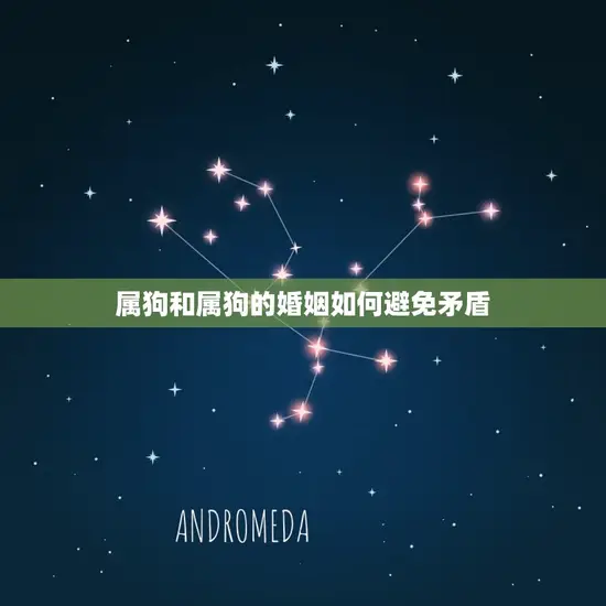 属狗和属狗的合不合婚(如何避免婚姻矛盾)