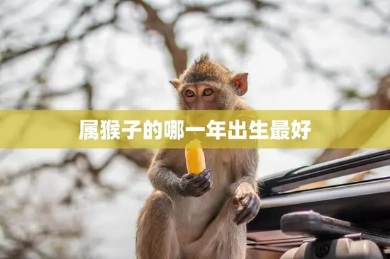 属猴子的哪一年出生最好(猴年猴月猴日最佳生肖属猴)