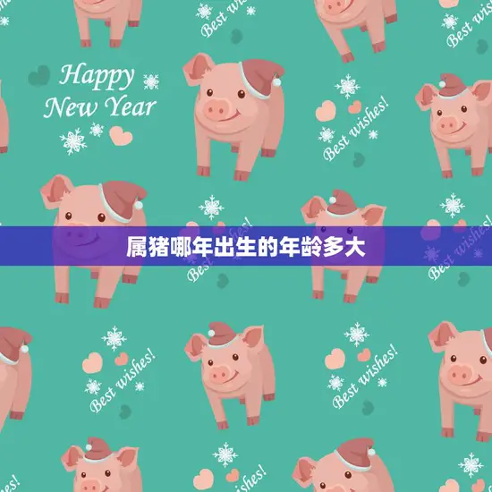 属猪哪年出生的年龄多大(猪年生肖年龄计算方法详解)