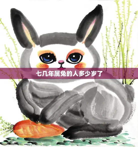 七几年属兔的人多少岁了(如今已经是中年人了吗)