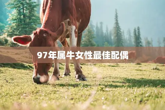 97年属牛女性最佳配偶(如何选择)