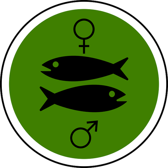 双鱼座女生性格特点分析(浪漫多情善解人意的双鱼女)