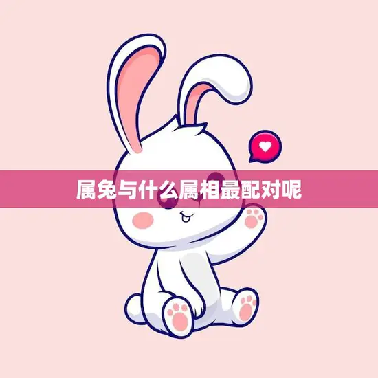 属兔与什么属相最配对呢(十二生肖配对大揭秘)