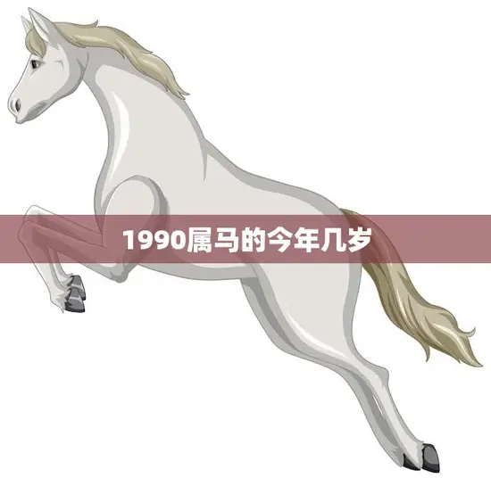 1990属马的今年几岁(马年人的年龄计算方法详解)