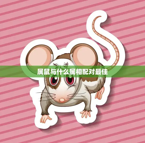 属鼠与什么属相配对最佳(如何选择最佳的配偶)