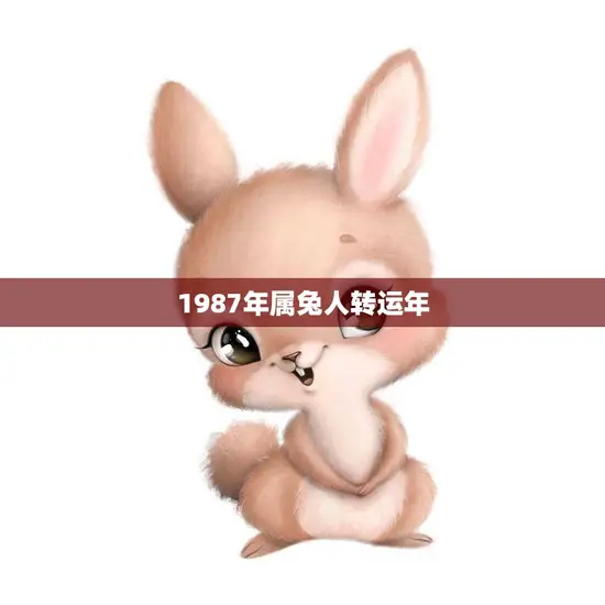 1987年属兔人转运年(如何化解厄运迎来好运)