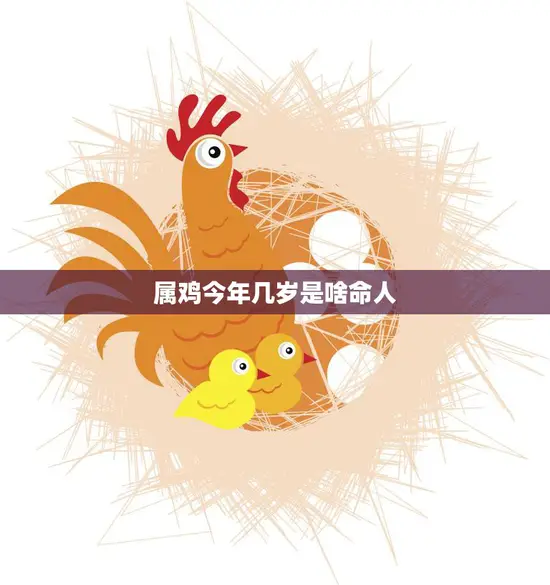 属鸡今年几岁是啥命人(解读属鸡人的命运与运势)
