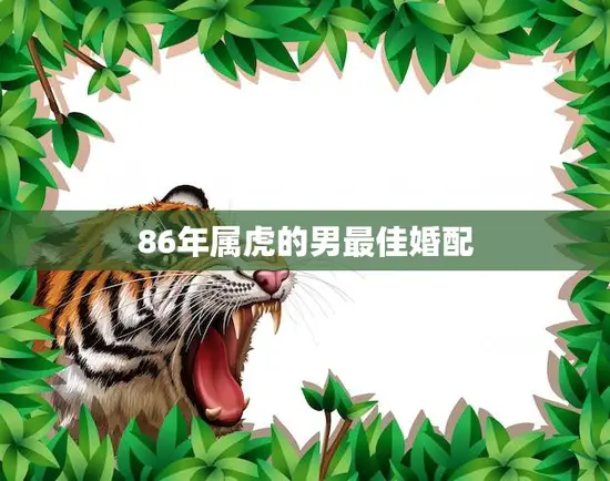 86年属虎的男最佳婚配(如何选择最适合的伴侣)