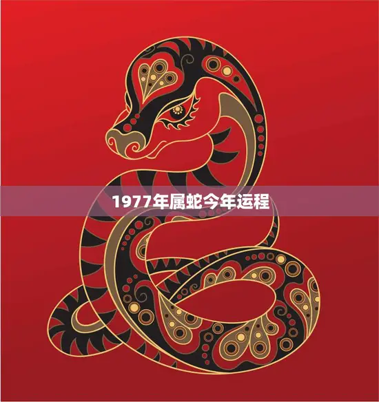 1977年属蛇今年运程(如何化解厄运迎来好运)