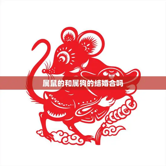 属鼠的和属狗的结婚合吗(星座配对分析)