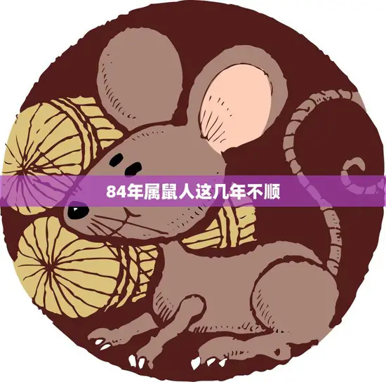 84年属鼠人这几年不顺(如何化解厄运)