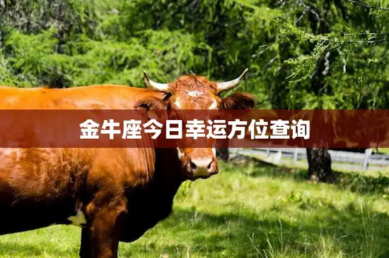 金牛座今日幸运方位查询(揭秘你的幸运方位)
