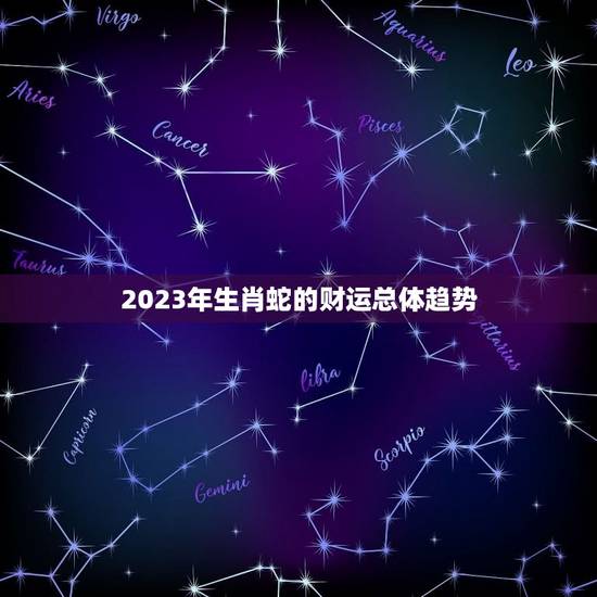 生肖蛇2023年财运(财运亨通财源滚滚来)
