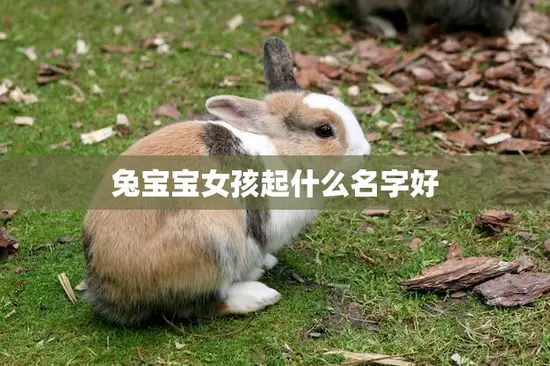 兔宝宝女孩起什么名字好(如何选择最适合的名字)
