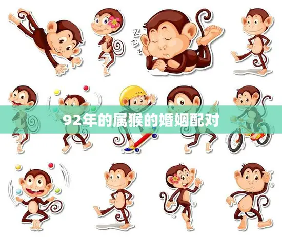 92年的属猴的婚姻配对(如何选择最佳伴侣)