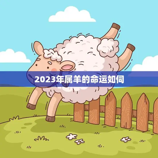 2023年属羊的命运如伺(未来三年运势大揭秘)