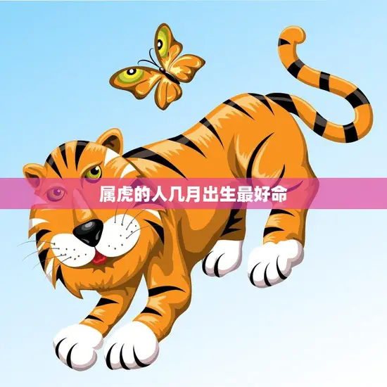 属虎的人几月出生最好命(揭秘最佳出生月份)