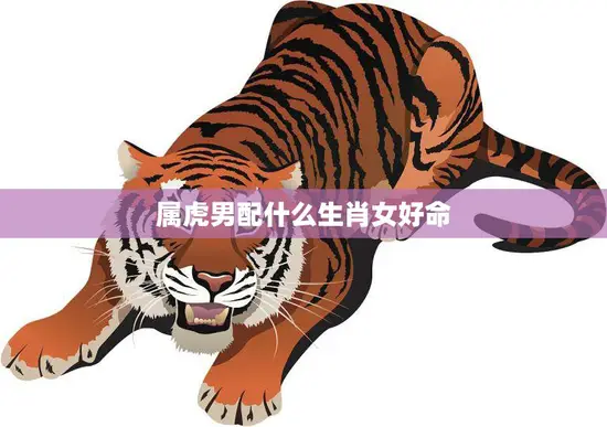 属虎男配什么生肖女好命(最佳配对解析)