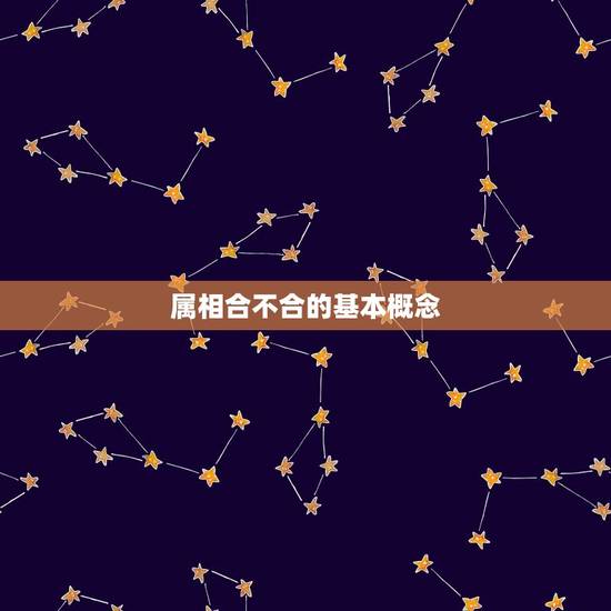 兔女跟蛇男属相合不合(如何看待这种组合)