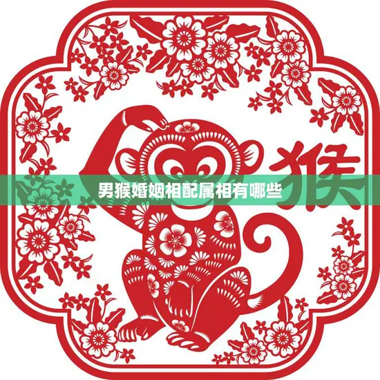 男猴婚姻相配属相有哪些(猴年男子婚姻配对攻略)