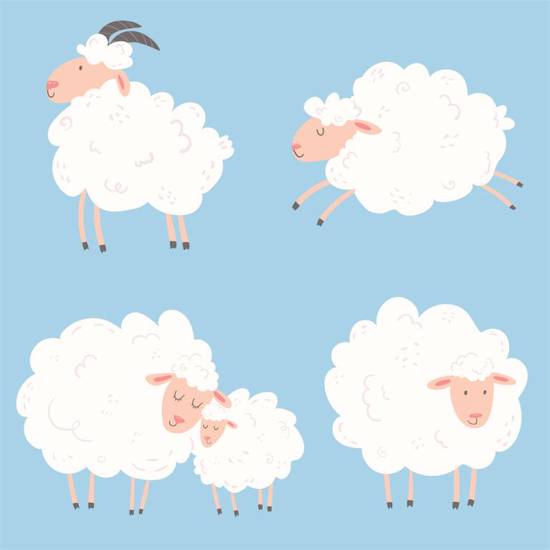 1991年属羊女旺夫吗(如何找到适合自己的另一半)