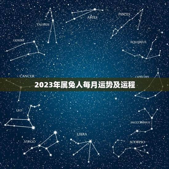 2023年属兔人每月运势及运程(详解属兔人2023年的命运走向)