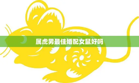 属虎男最佳婚配女鼠好吗(完美配对还是注定失败)