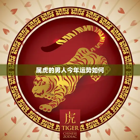 属虎的男人今年运势如何(2023年运势大揭秘)
