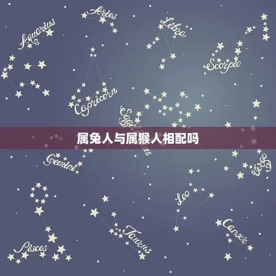 属兔人与属猴人相配吗(星座配对大介绍)