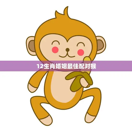 12生肖婚姻最佳配对猴(猴配哪些生肖最合适)